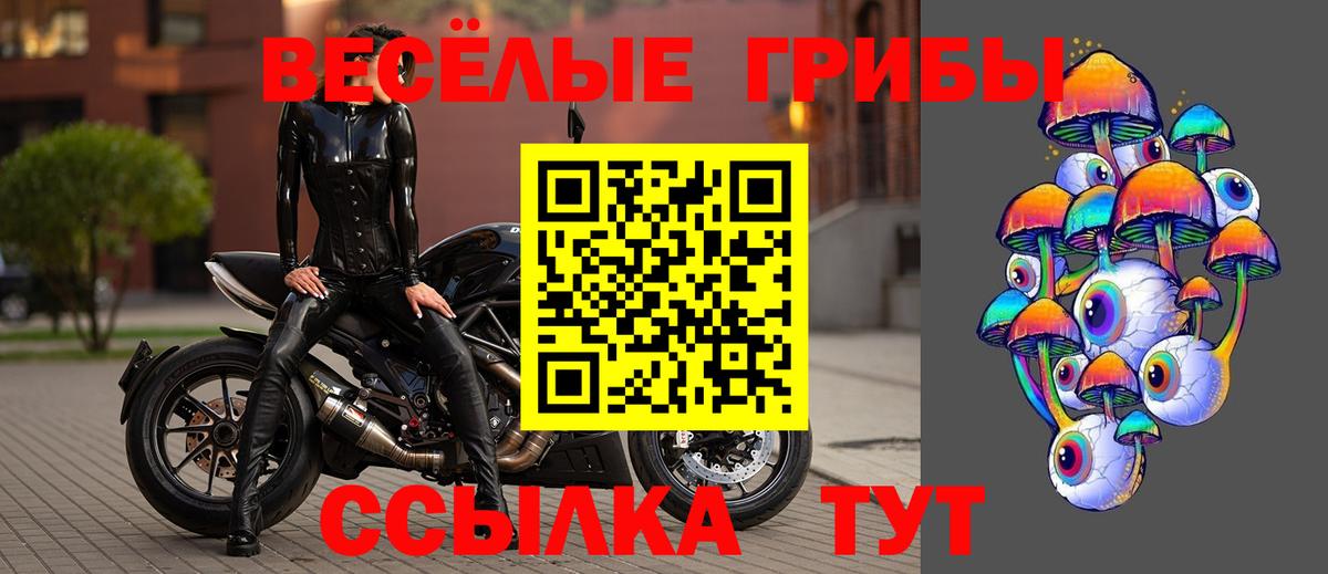 Псилоцибиновые грибы мицелий Губаха