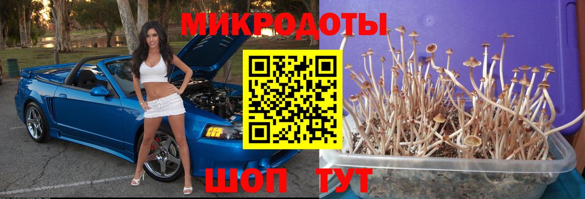 Псилоцибиновые грибы Cubensis  Галлюциногенные грибы Psilocybine cubensis  Губаха  как найти закладки  Вход с VPN 